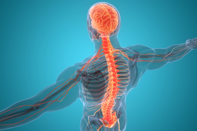 Dr. Alexandre, quais são as causas da dor neuropática?